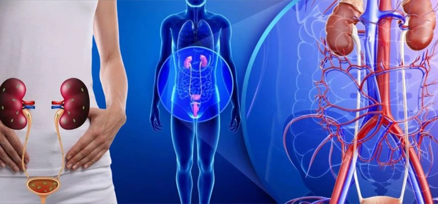 Reconstructive URO Surgery